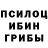 Галлюциногенные грибы Cubensis STEINHERZ PRODUCTIONS