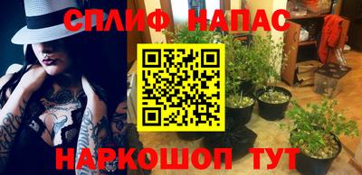 стаф Новокубанск