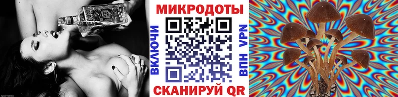 купить наркоту  Бутурлиновка  Галлюциногенные грибы прущие грибы 