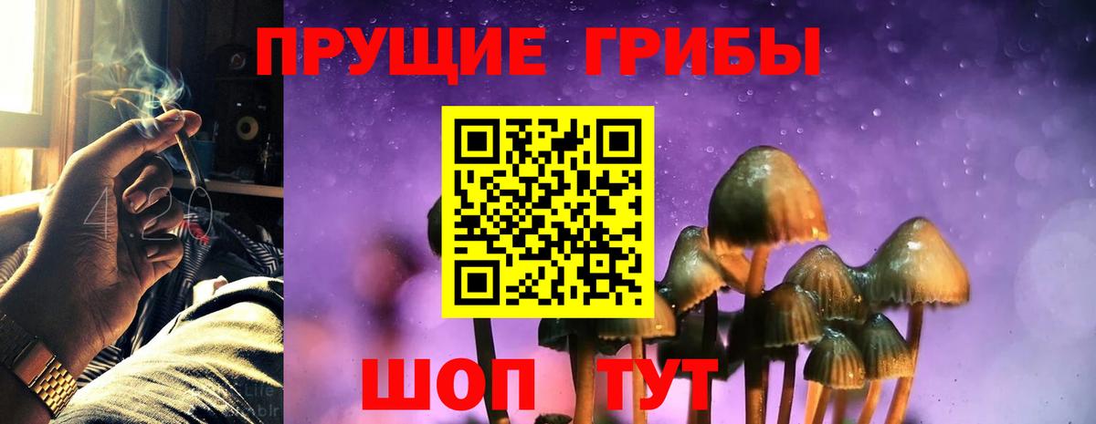 Псилоцибиновые грибы Psilocybe  Вход с VPN  Бутурлиновка  Галлюциногенные грибы Psilocybe 