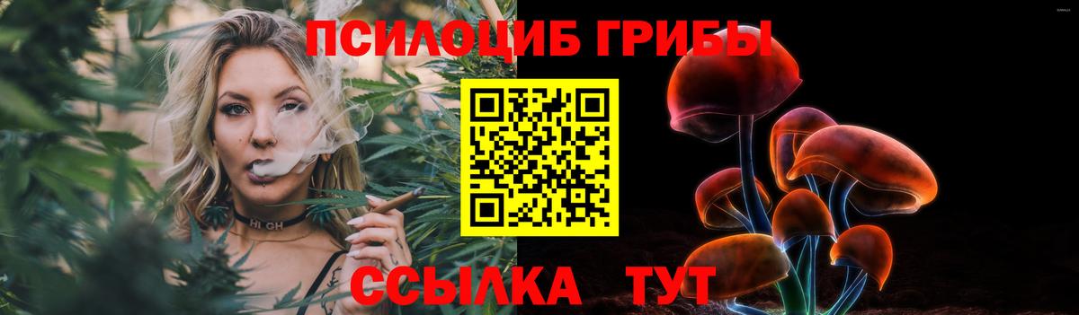 Галлюциногенные грибы Psilocybe Бутурлиновка